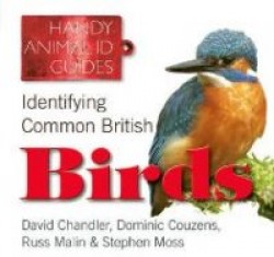 Identifying Common British Birds