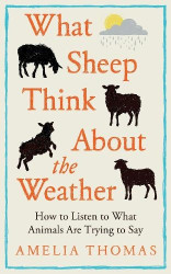 What Sheep Think About the Weather