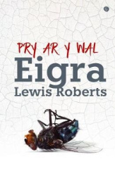 Pry ar y Wal