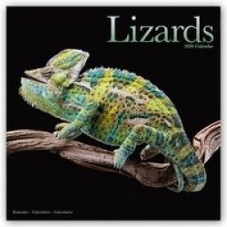 Lizards Calendar 2020