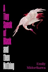 A Tiny Speck of Black and Then Nothing - A dazzling slow-burn debut set in the underworld of Osaka's nightlife