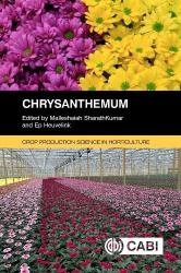 Chrysanthemum