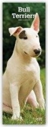 Bull Terriers 2020 Slim Calendar