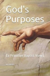 God's Purposes: a Primitive Baptist View of