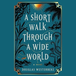 A Short Walk Through a Wide World