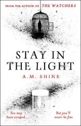 Stay in the Light - the chilling sequel to hit horror novel THE WATCHERS