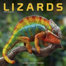 Lizards - Eidechsen 2025 - 16-Monatskalender