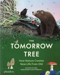 The Tomorrow Tree - How Nature Creates New Life From Old