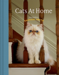 Cats at Home - 50 interiors & their fabulous felines