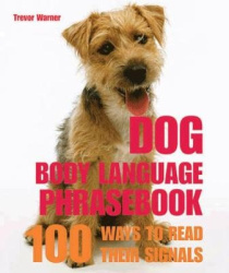 Dog Body Language - 100 Ways to Read Their Signals