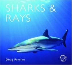 Sharks and Rays