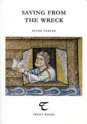 Saving from the Wreck - Essays on Poetry