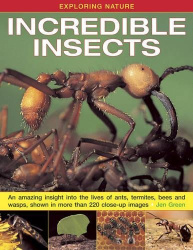 Exploring Nature: Incredible Insects: An Amazing Insight into the Lives of Ants, Termites, Bees and Wasps, Shown in More Than 22