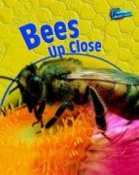 Bees Up Close
