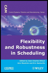 Flexibility and Robustness in Scheduling