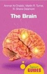 The Brain - A Beginner's Guide