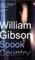 SPOOK COUNTRY [LARGE PRINT]