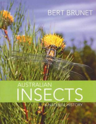 Australian Insects - A Natural History