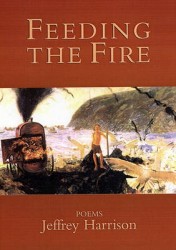 Feeding the Fire - Poems