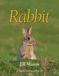 The Rabbit
