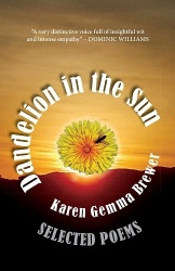 Dandelion in the Sun