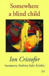 Somewhere a blind child