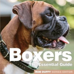 Boxers - The Essential Guide