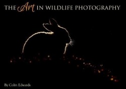 The Art in Wildlife Photography
