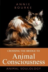 Crossing the Bridge to Animal Consciousness - Animal Soulology