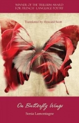 On Butterfly Wings
