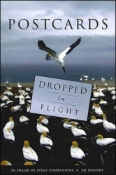 Postcards Dropped in Flight - In Praise of Avian Companions