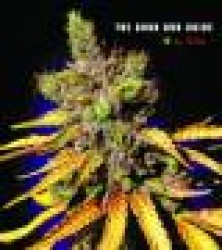 The Good Bud Guide