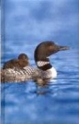 Loon Blank Journal