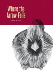 Where the Arrow Falls