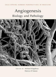Angiogenesis - Biology and Pathology