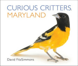 Curious Critters Maryland