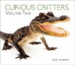 Curious Critters Volume Two