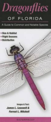 Dragonflies of Florida - A Guide to Common & Notable Species