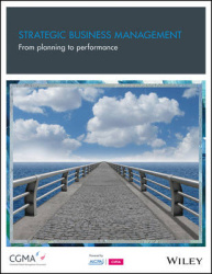 Strategic Business Management - From Planning to Performance