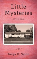 Little Mysteries - A Debut Novel