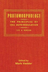 Protomorphology