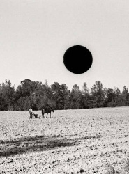 Ground - A Reprise of Photographs from the Farm Security Administration