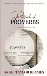 Pursuit of Proverbs - 31 Day Devotional