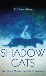 Shadow Cats - The Black Panthers of North America