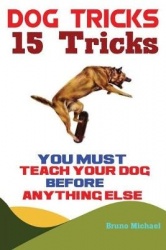 Dog Tricks - 15 Tricks You Must Teach Your Dog before Anything Else