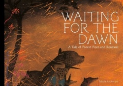 Waiting for the Dawn