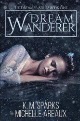 Dream Wanderer
