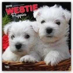 West Highland White Terrier Puppies - West Highland White Terrier Welpen 2019 - 18-Monatskalender mit freier DogDays-App