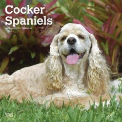 Cocker Spaniels - Cockerspaniels 2019 - 18-Monatskalender mit freier DogDays-App