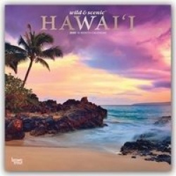 Hawaii Wild & Scenic 2020 Square Foil